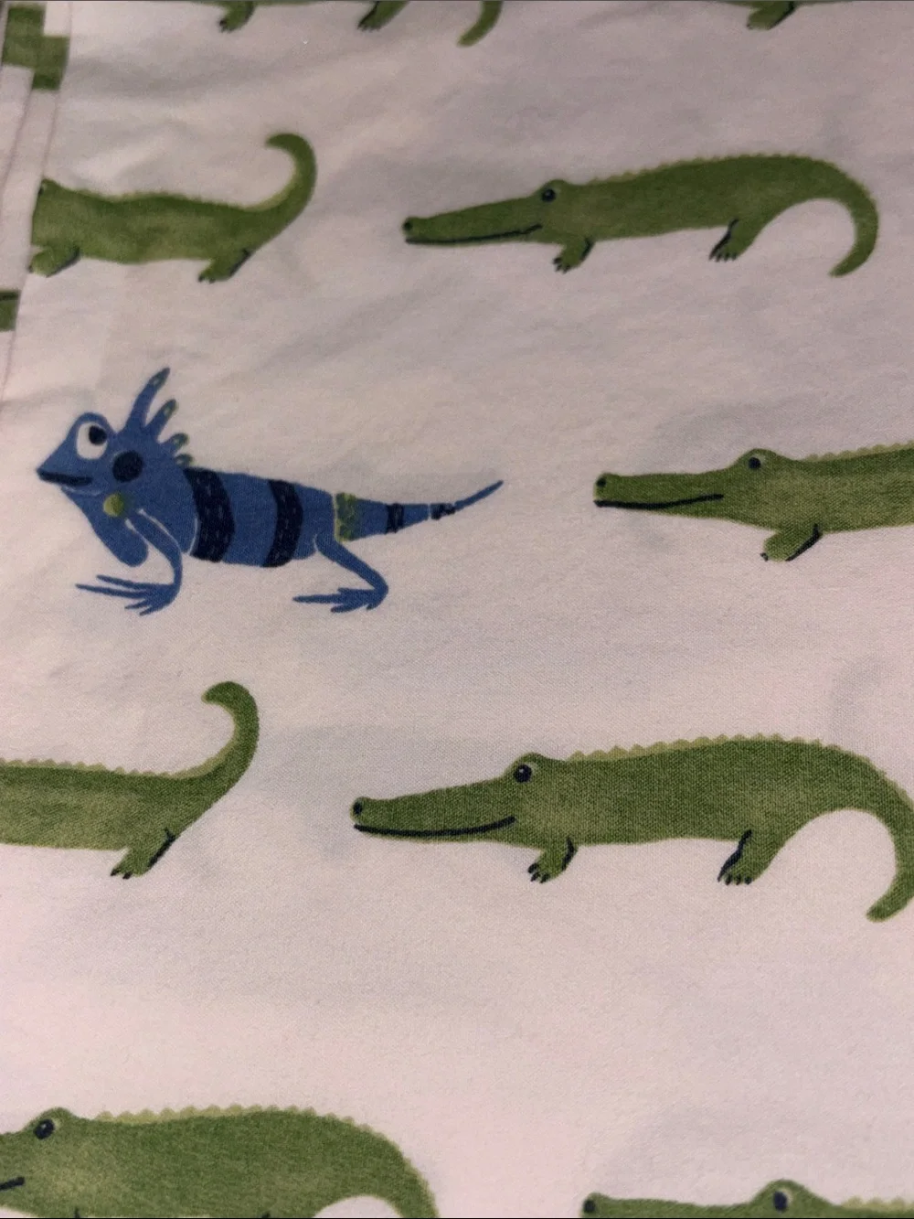 🐭 Pottery Barn Kids Jeremy alligator lizard TWIN SHEET SET